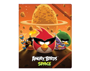 Папка пластикова дитяча В5 на резинках, "Angry Birds Space"