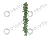 7-960246-osvito-elovie_vetki