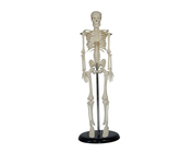 Мини-скелет 45 см