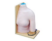 Модель внутриполостной инъекции в плечевом суставе