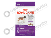 Royal-canin-giant-junior-%e2%80%94-%d0%a0%d0%be%d1%8f%d0%bb-%d0%9a%d0%b0%d0%bd%d0%b8%d0%bd-%d0%94%d0%b6%d0%b0%d0%b9%d0%bd%d1%82-(%d0%93%d0%b8%d0%b3%d0%b0%d0%bd%d1%82)-%d0%ae%d0%bd%d0%b8%d0%be%d1%80-osvito