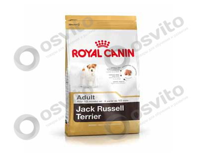 Royal-canin-jack-russel-terrier-%e2%80%94-%d0%a0%d0%be%d1%8f%d0%bb-%d0%9a%d0%b0%d0%bd%d0%b8%d0%bd-%d0%94%d0%b6%d0%b5%d0%ba-%d0%a0%d0%b0%d1%81%d1%81%d0%b5%d0%bb-%d0%a2%d0%b5%d1%80%d1%8c%d0%b5%d1%80-osvito