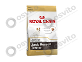 Royal-canin-jack-russel-terrier-junior-%e2%80%94-%d0%a0%d0%be%d1%8f%d0%bb-%d0%9a%d0%b0%d0%bd%d0%b8%d0%bd-%d0%94%d0%b6%d0%b5%d0%ba-%d0%a0%d0%b0%d1%81%d1%81%d0%b5%d0%bb-%d0%a2%d0%b5%d1%80%d1%8c%d0%b5%d1%80-%d0%ae%d0%bd%d0%b8%d0%be%d1%80-osvito