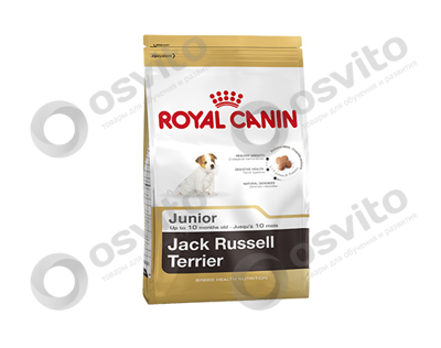 Royal-canin-jack-russel-terrier-junior-%e2%80%94-%d0%a0%d0%be%d1%8f%d0%bb-%d0%9a%d0%b0%d0%bd%d0%b8%d0%bd-%d0%94%d0%b6%d0%b5%d0%ba-%d0%a0%d0%b0%d1%81%d1%81%d0%b5%d0%bb-%d0%a2%d0%b5%d1%80%d1%8c%d0%b5%d1%80-%d0%ae%d0%bd%d0%b8%d0%be%d1%80-osvito