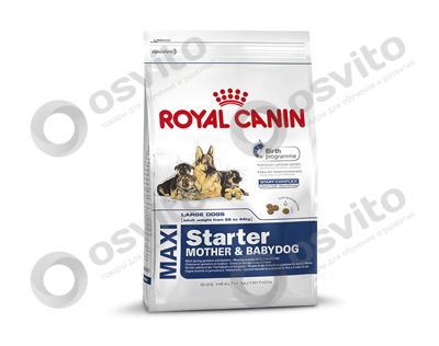 Royal-canin-maxi-starter-%e2%80%94-%d0%a0%d0%be%d1%8f%d0%bb-%d0%9a%d0%b0%d0%bd%d0%b8%d0%bd-%d0%9c%d0%b0%d0%ba%d1%81%d0%b8-%d0%a1%d1%82%d0%b0%d1%80%d1%82%d0%b5%d1%80-osvito