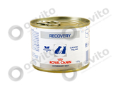 Royal-canin-recovery-%d0%ba%d0%be%d0%bd%d1%81%d0%b5%d1%80%d0%b2%d1%8b-%d0%b4%d0%bb%d1%8f-%d1%81%d0%be%d0%b1%d0%b0%d0%ba-%d0%b8-%d0%ba%d0%be%d1%88%d0%b5%d0%ba-osvito