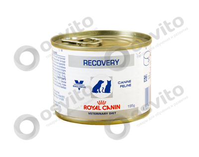 Royal-canin-recovery-%d0%ba%d0%be%d0%bd%d1%81%d0%b5%d1%80%d0%b2%d1%8b-%d0%b4%d0%bb%d1%8f-%d1%81%d0%be%d0%b1%d0%b0%d0%ba-%d0%b8-%d0%ba%d0%be%d1%88%d0%b5%d0%ba-osvito