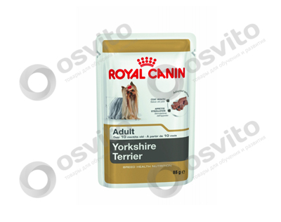 Royal-canin-yorkshire-adut-osvito