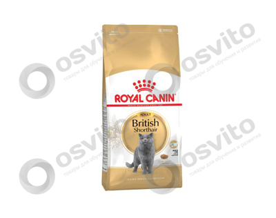 Royal-canin-british-shorthair-adult-34-osvito