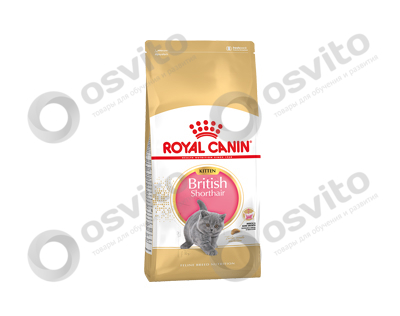 Royal-canin-kitten-british-shorthair-%e2%80%94-%d0%a0%d0%be%d1%8f%d0%bb-%d0%9a%d0%b0%d0%bd%d0%b8%d0%bd-%d0%b4%d0%bb%d1%8f-%d0%b1%d1%80%d0%b8%d1%82%d0%b0%d0%bd%d1%81%d0%ba%d0%b8%d1%85-%d0%ba%d0%be%d1%82%d1%8f%d1%82-osvito
