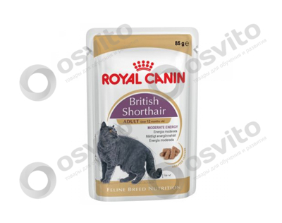 Royal-canin-british-shorthair-osvito