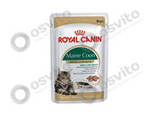 Royal-canin-mainecoon-adult-osvito