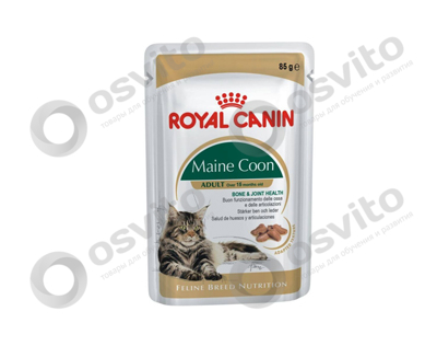 Royal-canin-mainecoon-adult-osvito