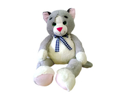 Кот Тимофей KTF3